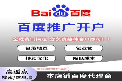 百度推广费用投入与品牌知名度提升的案例分析